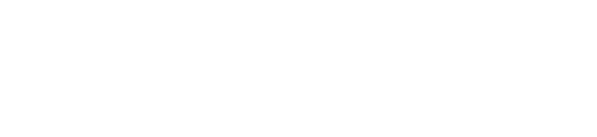 Shakeys